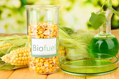 Baguley biofuel availability